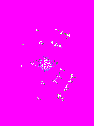attachment.php