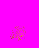 attachment.php