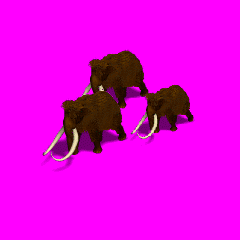 attachment.php