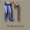 walking_stick_Yvx.jpg