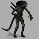 XenomorphLarge